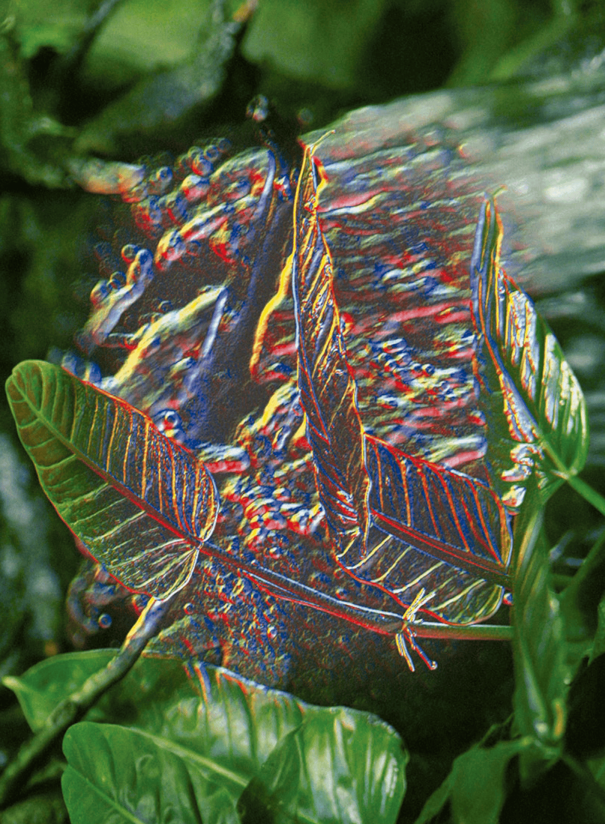 SecondNature_Joakim-gallery