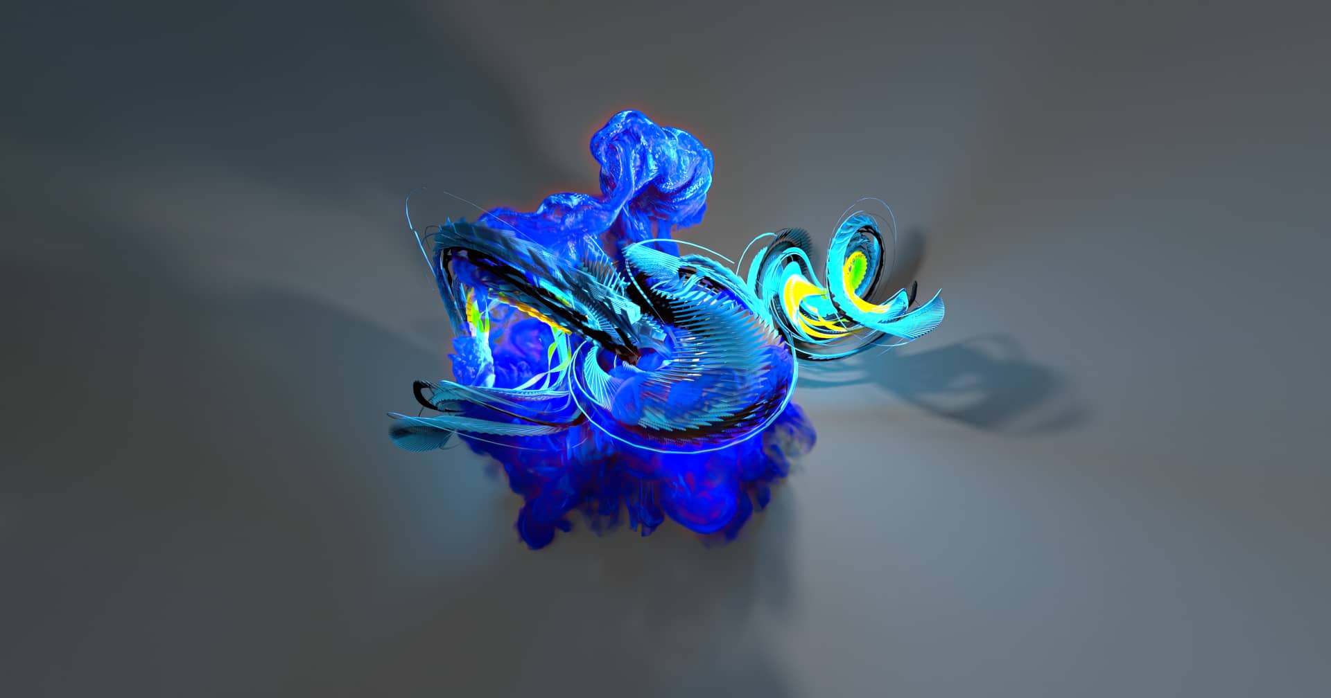 SAPA-BIRD-FINAL-header