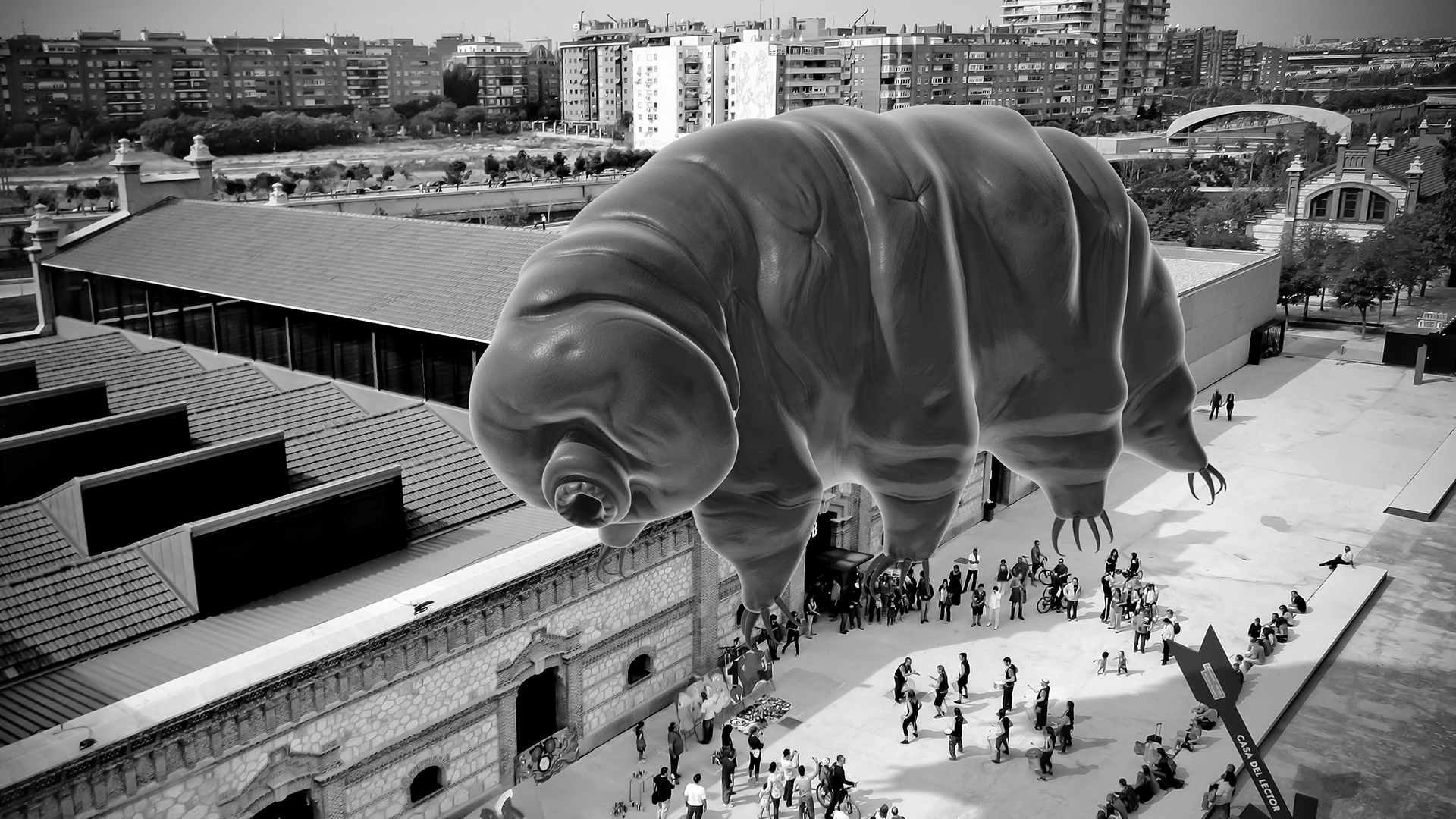 Slow Walker AR_Madrid_web